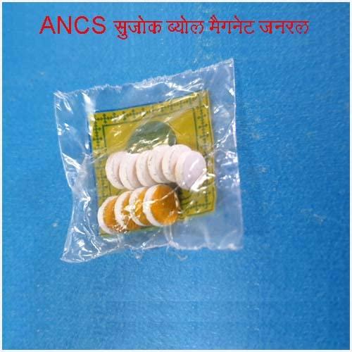 ANCS ANCS Sujok Byol Magnet Medium 5mm (60pc)