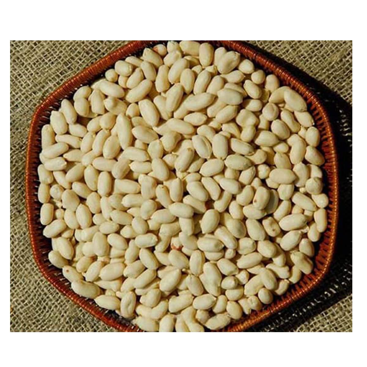 Avenn Avenn Jumbo Salted Peanuts | Gujrat Special Roasted Mungfali | Jumbo Groundnut Singdana Seed | Salted Sing with Husk | Fresh Grade A Bharuch Khari Sing Skin Removed (Peeled Skin, 600 GM)