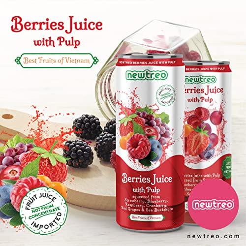 Newtreo Newtreo Berries Juice With Pulp | Imported from Vietnam | Strawberry, Blueberry, Raspberry, Cranberry, Red Grapes & Sea Buckthorn Juice | 12 x 250ml cans | No concentrates or preservatives added