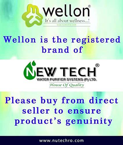 WELLON Wellon Big Nano Mist Spray Sanitizer, Best mini pocked Sized Sanitizer Machine