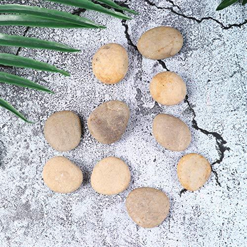 HEALLILY 1 Set/ 10 Pcs Children DIY Drawing Stone Graffiti Rocks Stones Creative Natural Pebbles with 1 Pc Bracket for Home School Practice (3-4CM, Random Style)