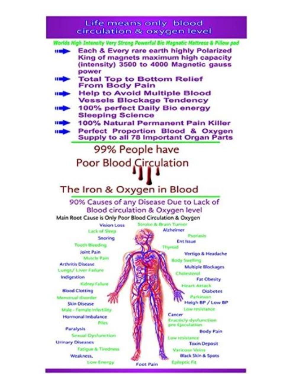 CDRS CDRS Bio Magnetic Mattress Topper/Pad Magnetic Therapy | 240 GSM