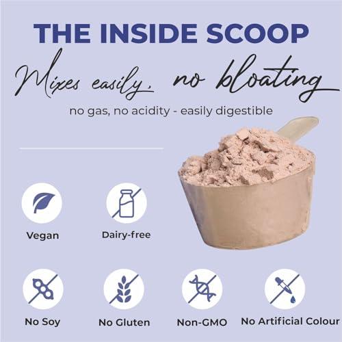 Cureveda Cureveda Pro Plant Protein Powder, Vanilla - Pea & Rice Isolate - No Bloating | Vegan, Preservative Free | Superfoods, Superseeds, Superberries | 20gm Serve | 500gm