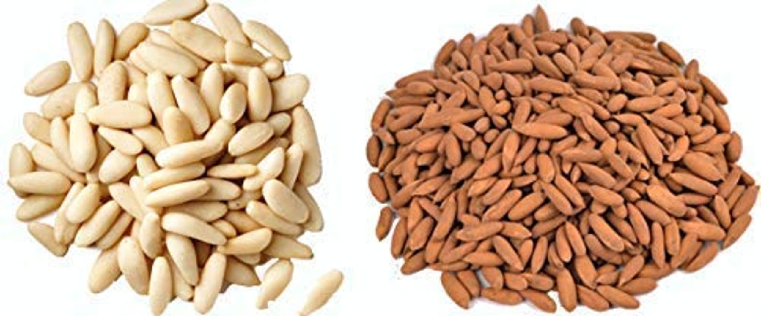 Avlokan Avlokan Premium Pine Nuts A Grade Jumbo Chilgoza With shell Dry Fruits (100gm)