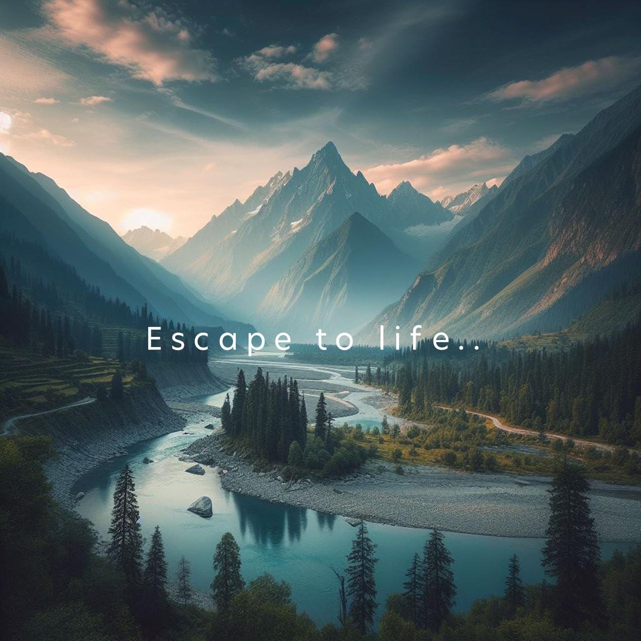 Cupid Limited Cupid Dotted & Flavoured Condoms Mango Flavour (Pack of 5) | Lubricated & Multitextured Condoms | For Her Enhanced Pleasure | Pack of 5, 12 Pcs Each