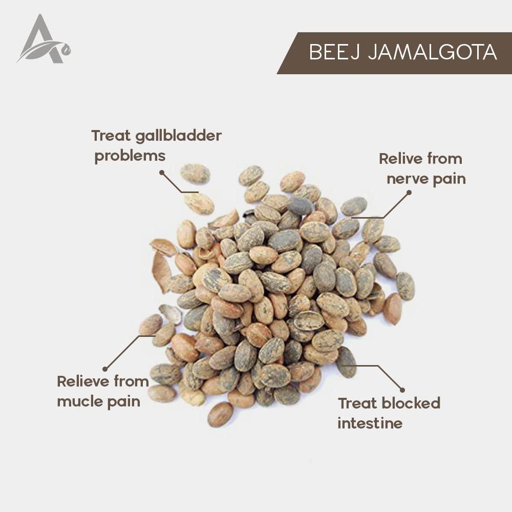 VedoMax VedoMax Jamalghota Powder | Jamalghota Beej Powder | Jamalgota Beej Powder | Jamalghota/Jamalgota | jamalgota | jamalgota powder - (50 gm)