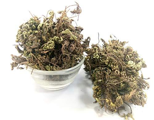 Birju Mahavir Birju Mahavir 100 GR LAXMAN BOOTI (BMKB)