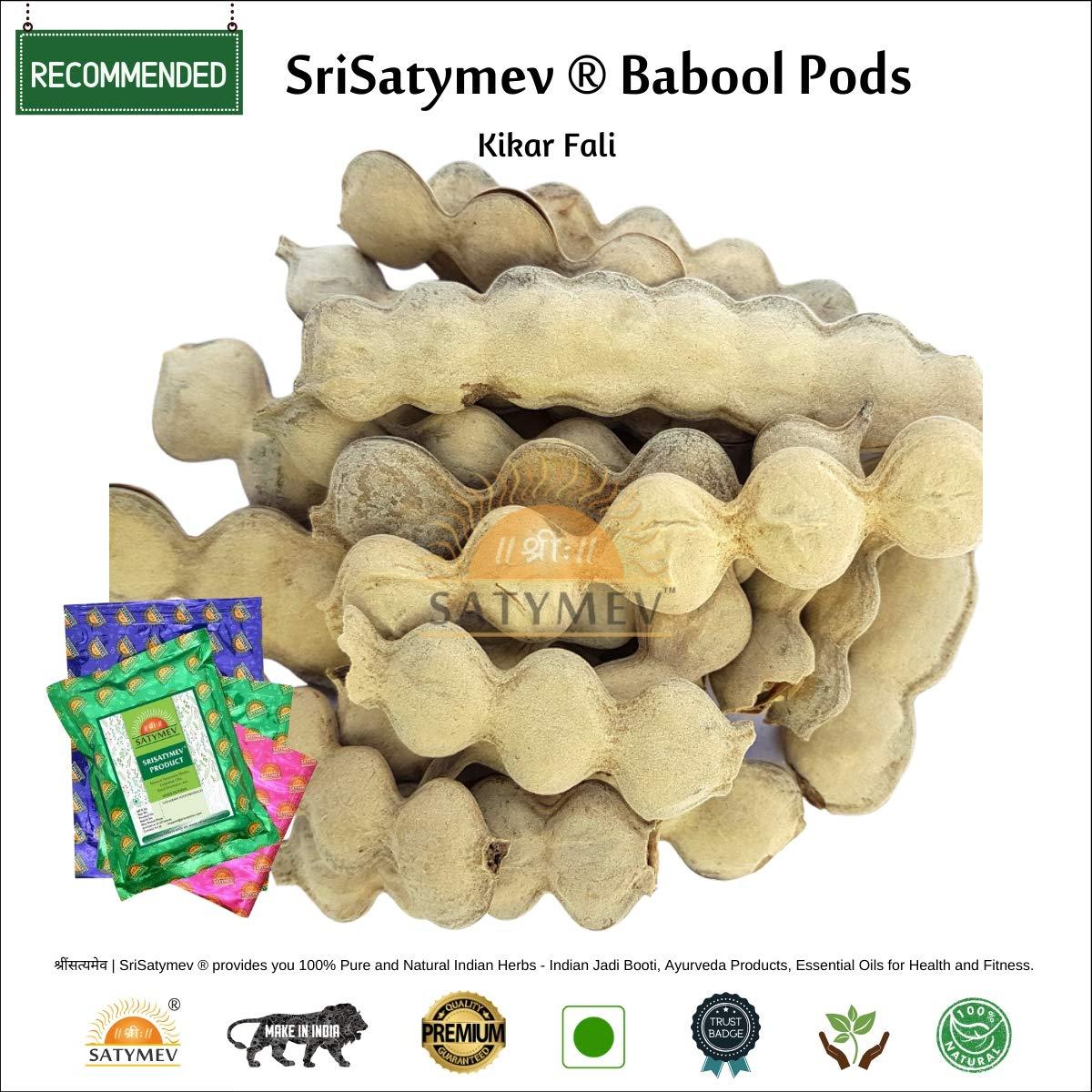 SriSatymev SriSatymev  Pure & Natural Babool Pods|Kikal Fali 2kg|Raw Form