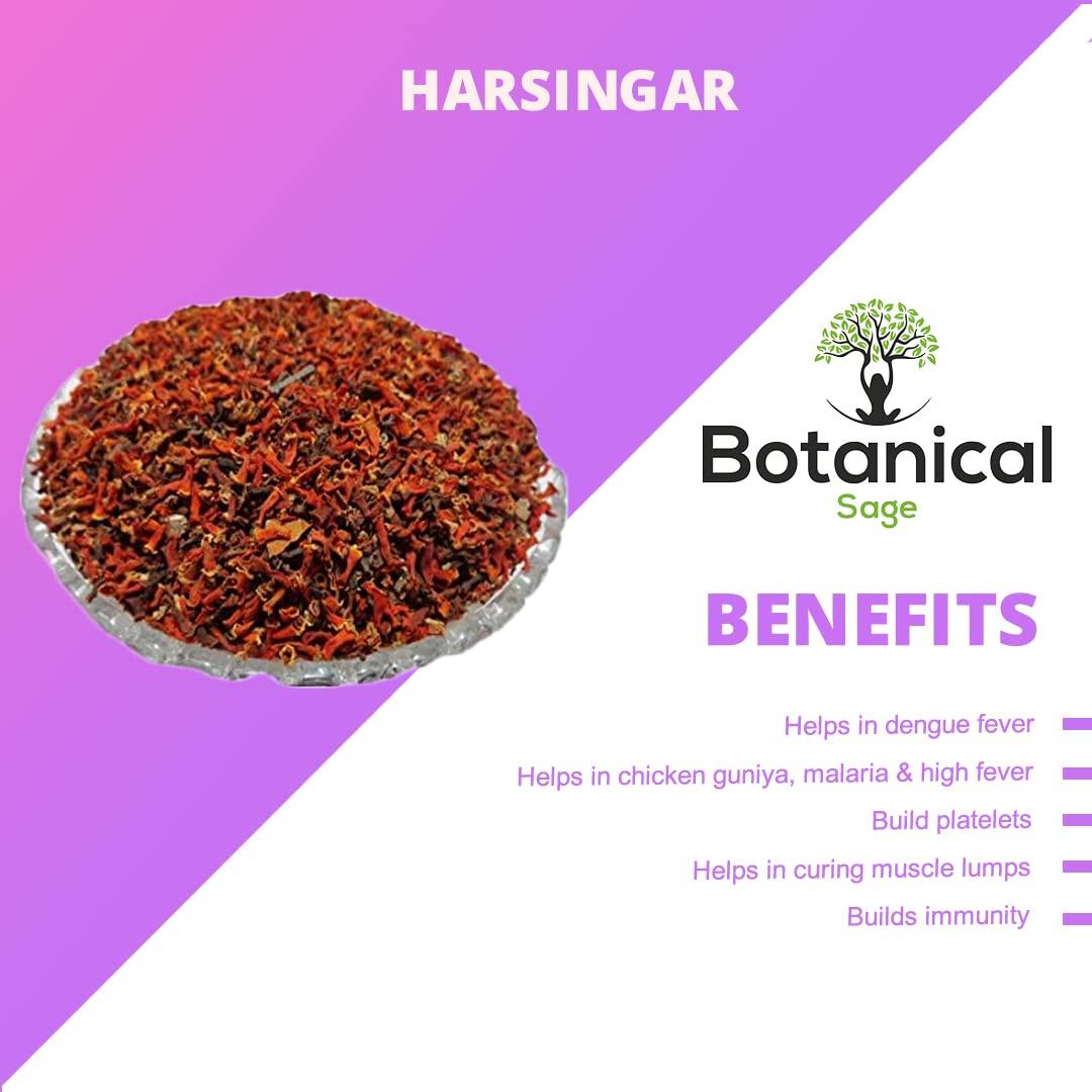 Botanical Sage Botanical Sage- Harsingar flower | Parijat | Harshingar ka phool | Selected | Extra Cleaned
