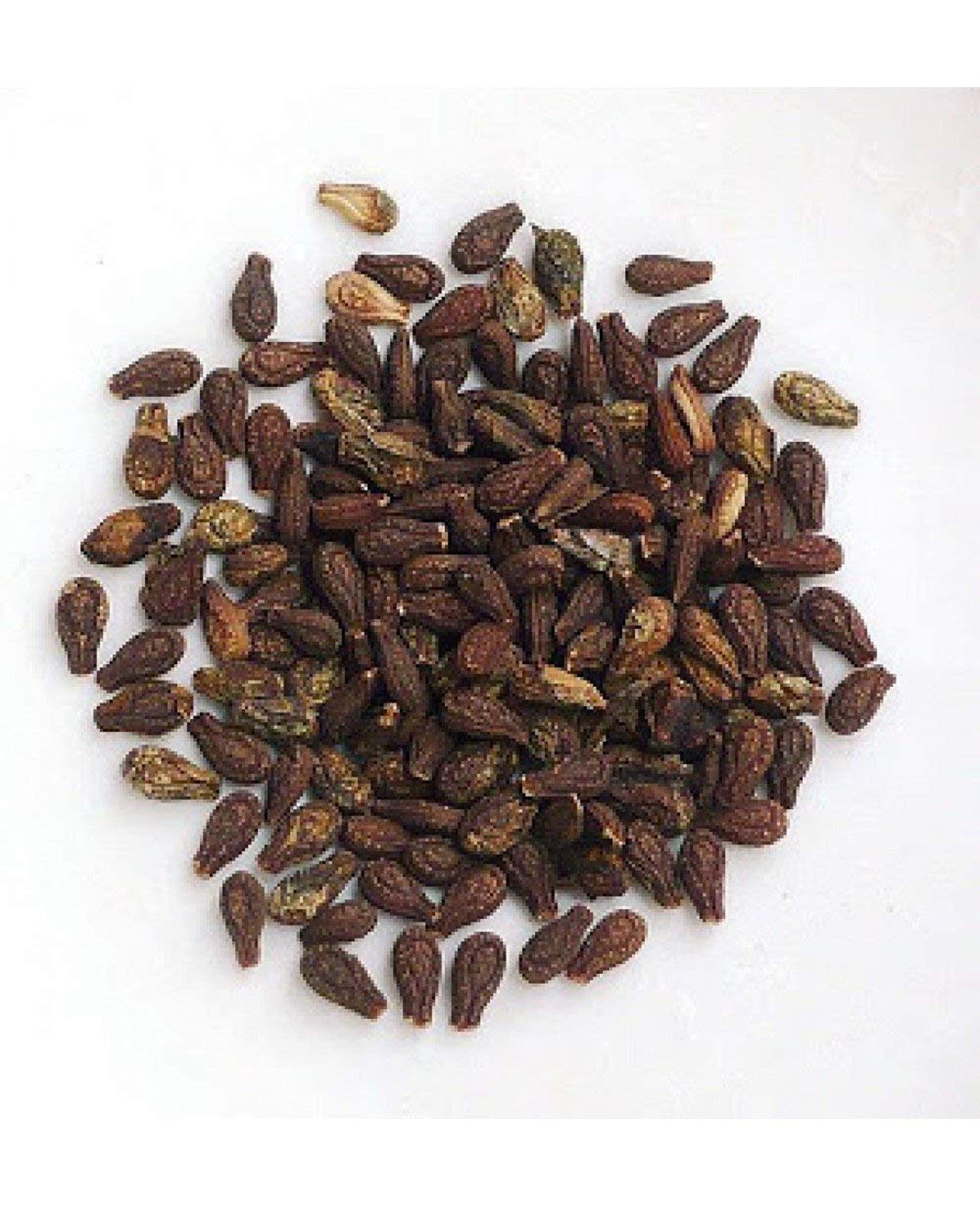 indias creation Shivlingi Seeds-Bryonia Laciniosa-Raw Herbs-Shivlingi Beej-Single Herbs-Jadi Buti (100 Gram)