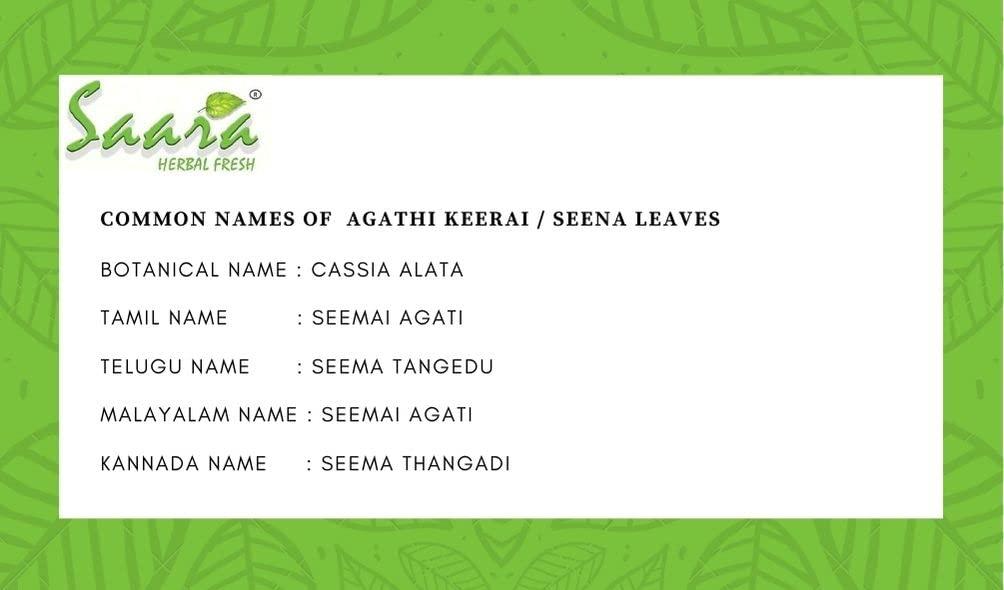 SAARA Saara HERBAL FRESH Seemai Agathi Keerai Powder, 50 grams, Alata Cassia, Alata Leaves Powder, Agasti, Agastya, Bak Phul Leaves Powder, Dirghaphalaka Powder, (pack of 1 x 50 grams)