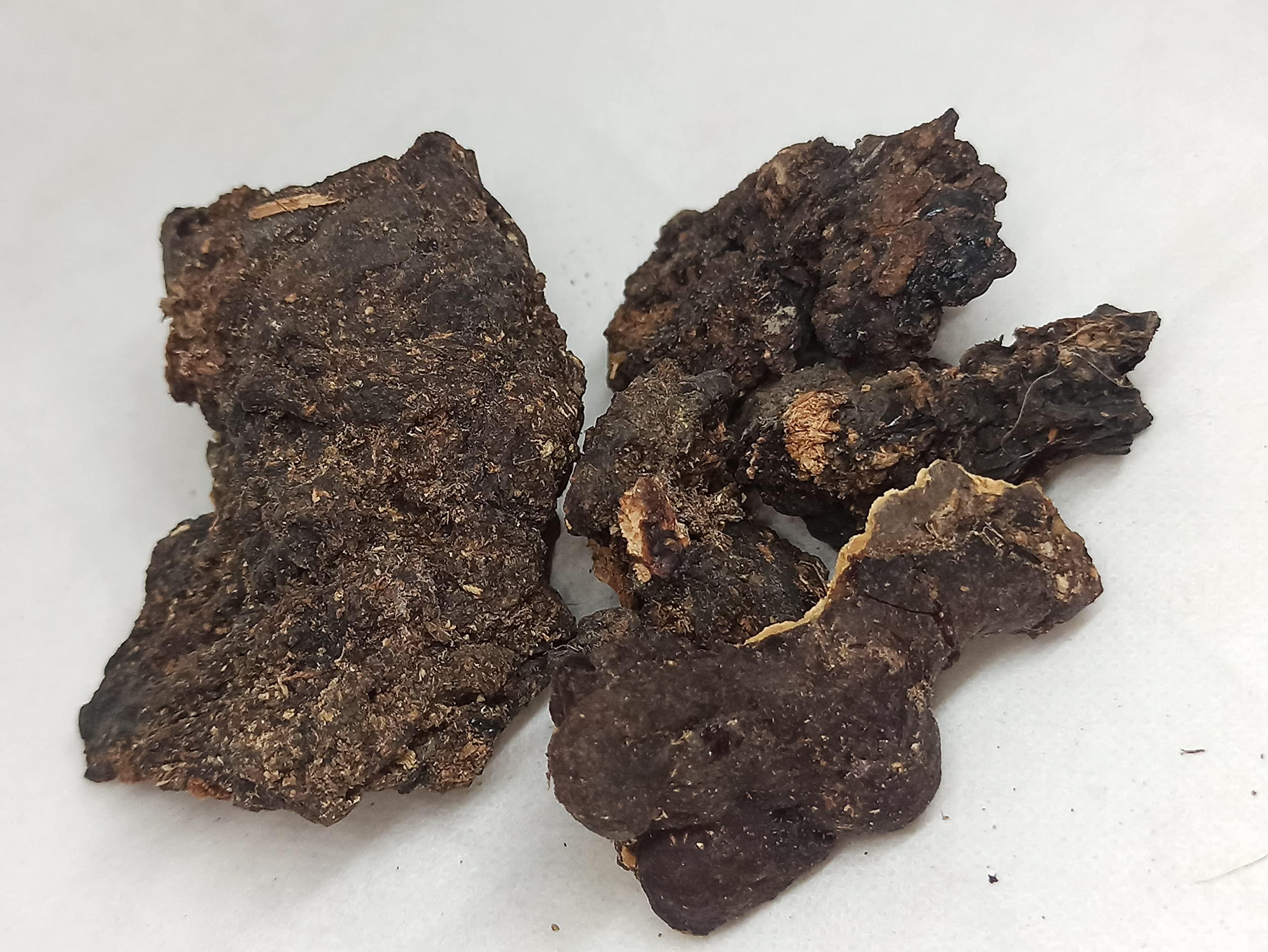 NavaFresh Basics NATURALIFE'S-*MURUNGA PISIN*- I Moringa Oleifera I Drumstick Tree Resin I Ahijan, Munaga I Senjana Pattee I Muringai I Mochakamu, Munagachettu (1000 GRAMS/1KG)