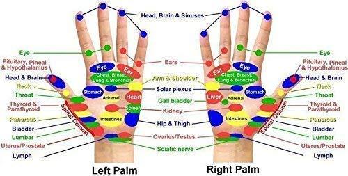 NETCLUB NETCLUB Foot Roller Acupressure Massager Acupuncture (Brown) with Karela Manual Massager Tool for Hands and Palm || foot massager roller || wooden accupressure tools