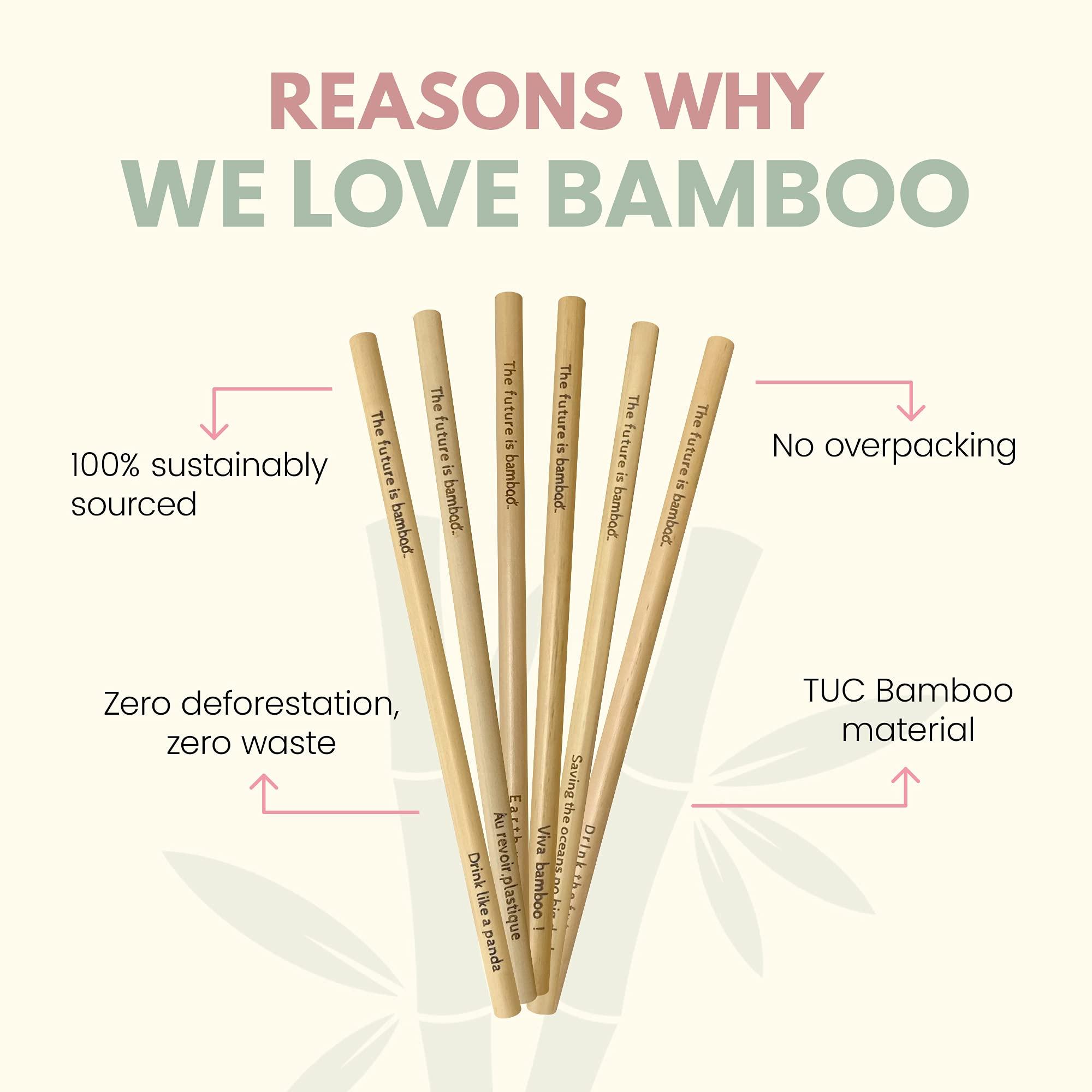 The future is bamboo The Future is Bamboo Bamboo Straws, Reusable Straws, Wooden Straws for Drinks, Pack of 6