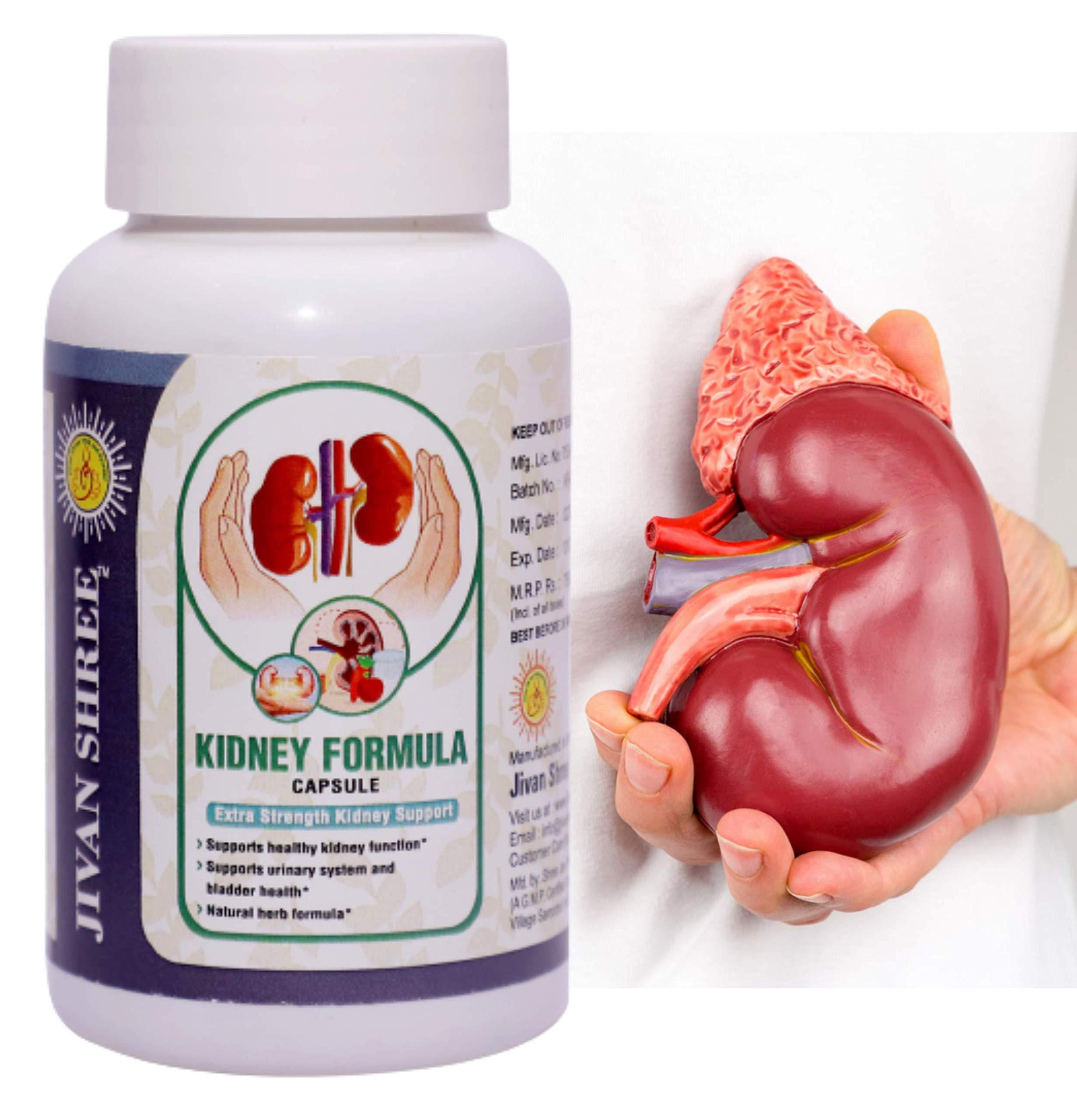 JIVAN SHREE WITH DEVICE OF SHREE Kidney Formula Ayurvedic medicine for Kidney (All Problems) & Creatnine Kidney Support |Natural Kidney Cleanse And Detox Supplement (120 Capsules Pack of 2)
