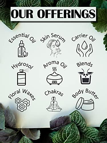 Greenwood Essential Greenwood Essential Pure Kokum Butter (Garcinia indica) Natural Therapeutic Grade 50gm