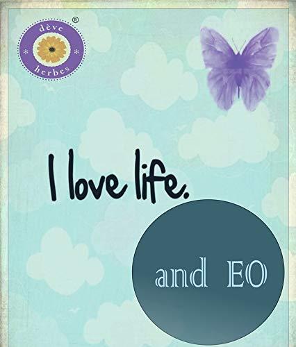 Deve Herbes Deve Herbes Pure Nirgundi oil (Vitex negundo linn) Natural Therapeutic Grade 100ml