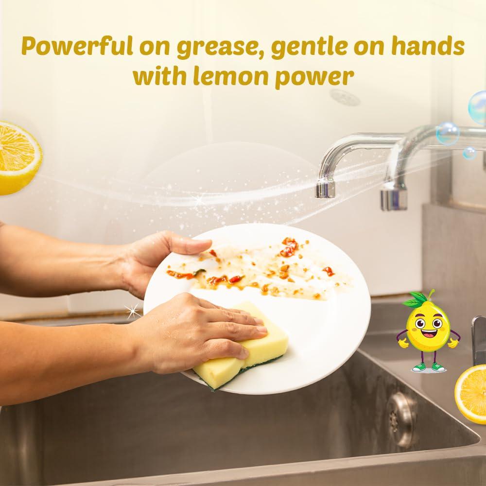 JAVI JAVI Dish Wash Powder to Liquid Refill Pack (10 Sachet = 5 Ltr) | Natural, Plant Based, Non Toxic & Eco-Friendly | Remove tough grease, soft on hands | Baby Safe & Pet safe | Crockery wash