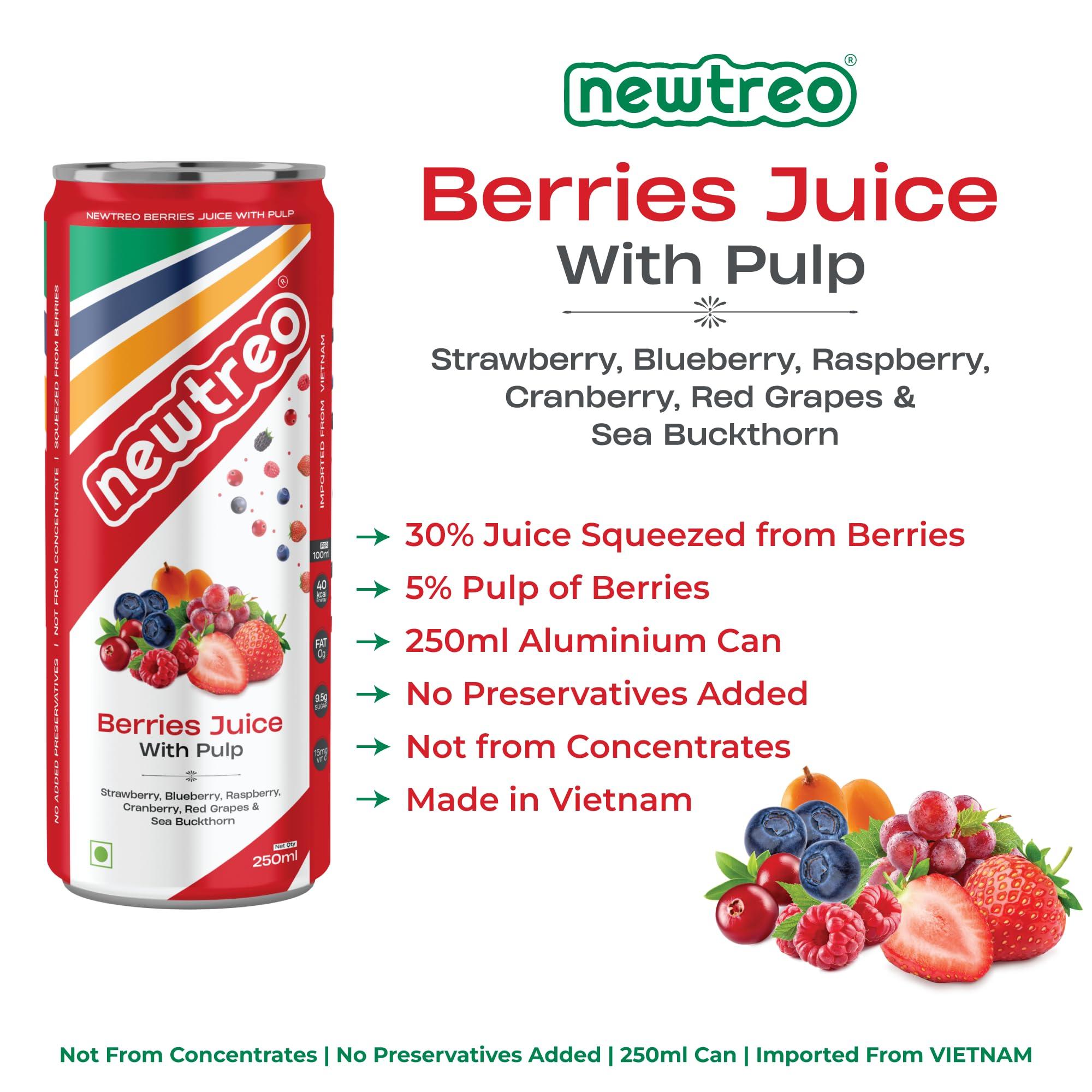 Newtreo Newtreo Berries Juice With Pulp | Imported from Vietnam | Strawberry, Blueberry, Raspberry, Cranberry, Red Grapes & Sea Buckthorn Juice | 12 x 250ml cans | No concentrates or preservatives added