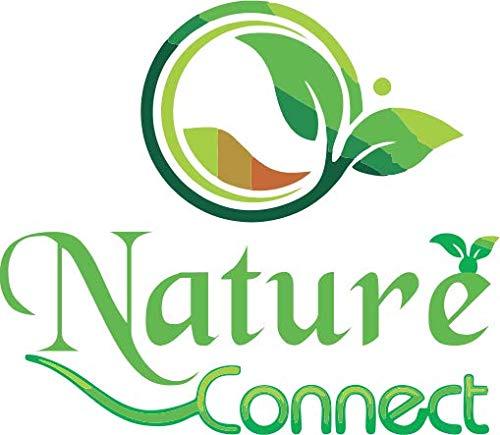 Nature Connect Nature Connect NIMBU PUDINA Chana - 200 Gms. (Spicy,Roasted,Flavoured Chana)