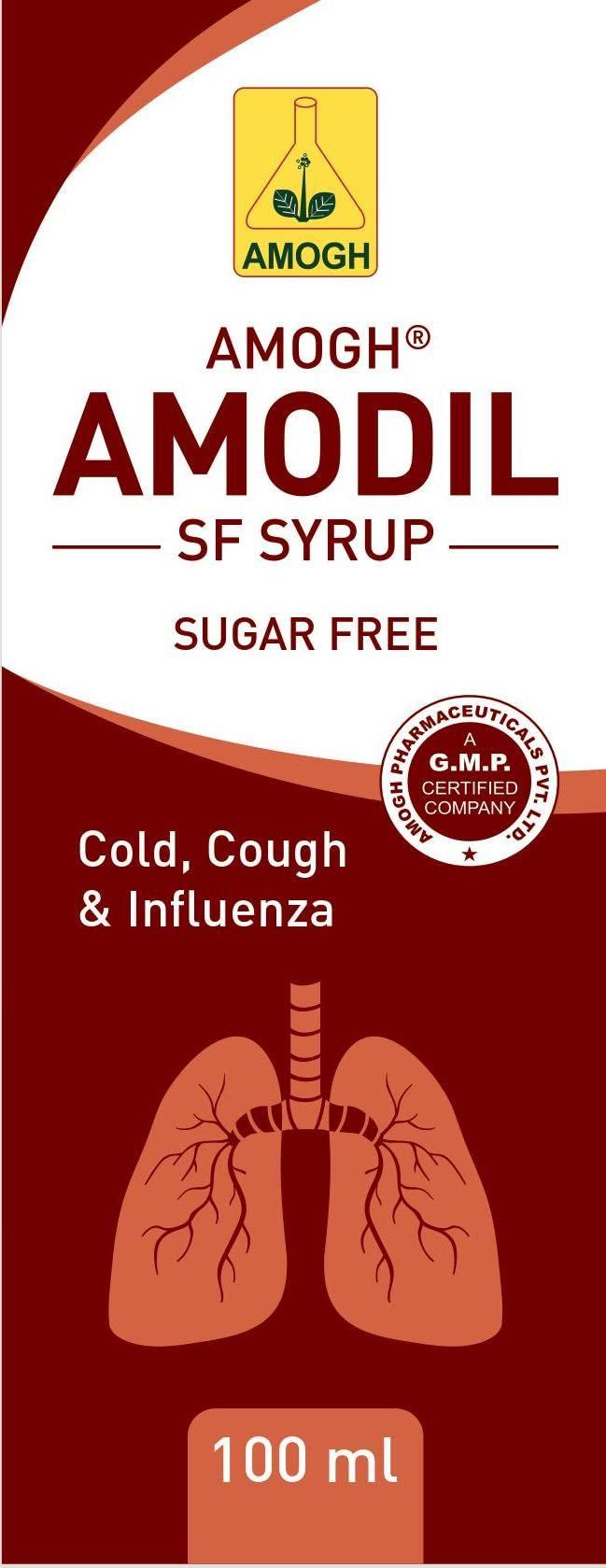 AMOGH Amogh Amodil S.F. SYRUP (Pack of 2 x100ml) SugarFree