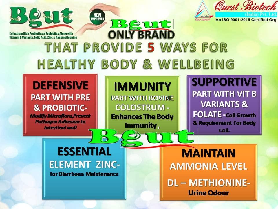 Quest Biotech Quest Biotech 01 Bgut Colostrum Rich Pre and Probiotic Capsule