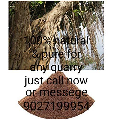 AESHWARG ISTA AYURVEDA Natural and Pure Banyan - Marri Udala Roots Powder - Ficus Benghalensis - Indian Fig - Bargad - Aal Root - (500gm)