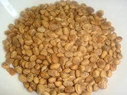 SAARA SAARA Almondette Seeds, Chironji, Charoli, Saara Paruppu, 100g