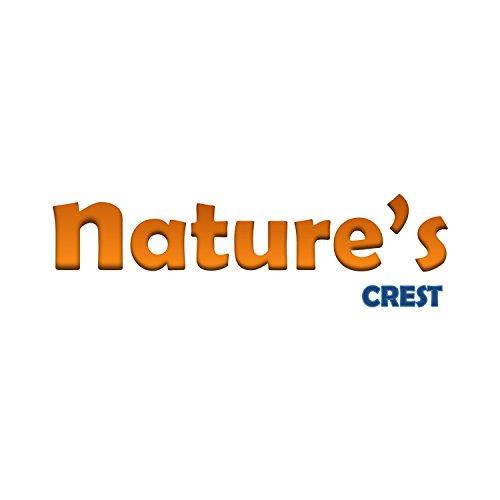 Nature's Crest Nature's Crest Crystal Quartz Sphatik Lemurian 9 Pyramid Charging Plate 1 Pc Clear Natural for Healing Meditation Chakra Reiki Tool Sacred Geometry Crystal Gemstone Altar Decor Spiritual Gifts