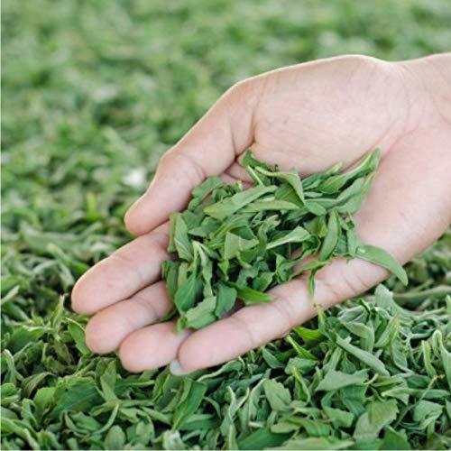 ZEVIC Zevic Stevia Sugar Free Powder | Zero Calories Stevia | Vegan & Keto | 100% Natural Sweetener Powder | Sugar Substitute Natural | Diabetic Friendly - 200g (Pack of 2)