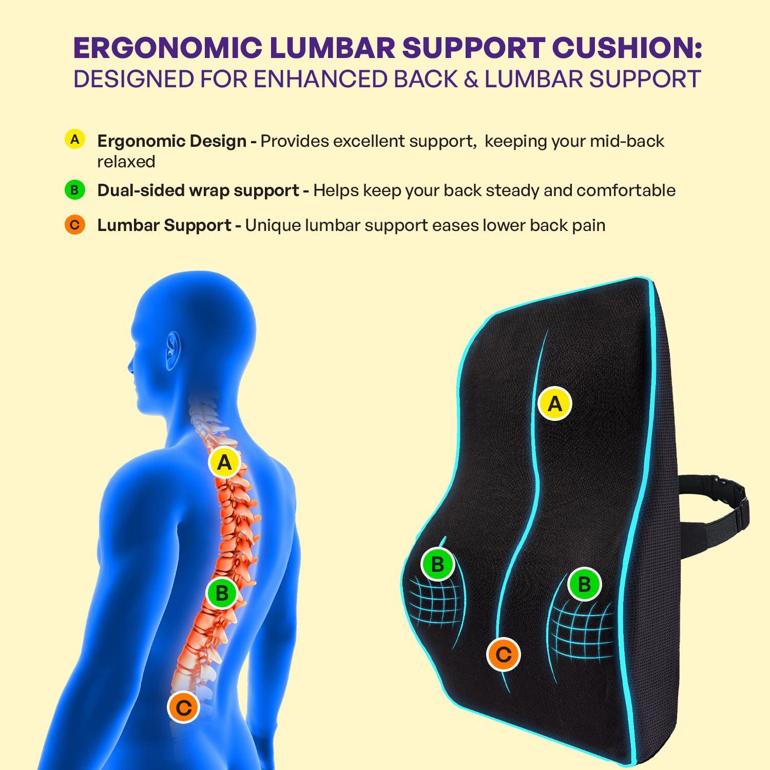 Careforce - The Force Behind Your Health Careforce Back Support for Chair & Car Seat Back Support Chair Back Support for Back Pain Back Rest for Chair Office Lumbar Support for Car Back Rest Support Back Support Pillow Cushion- Black