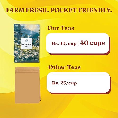 DORJE TEAS DORJE TEAS Chamomile Loose Tea - 100Gm|Organic Darjeeling Tea|Promotes Good Sleep, Stress Relief|Improves Immunity|Soothing Tea For Relaxation|For Glowing Skin|Pack-1