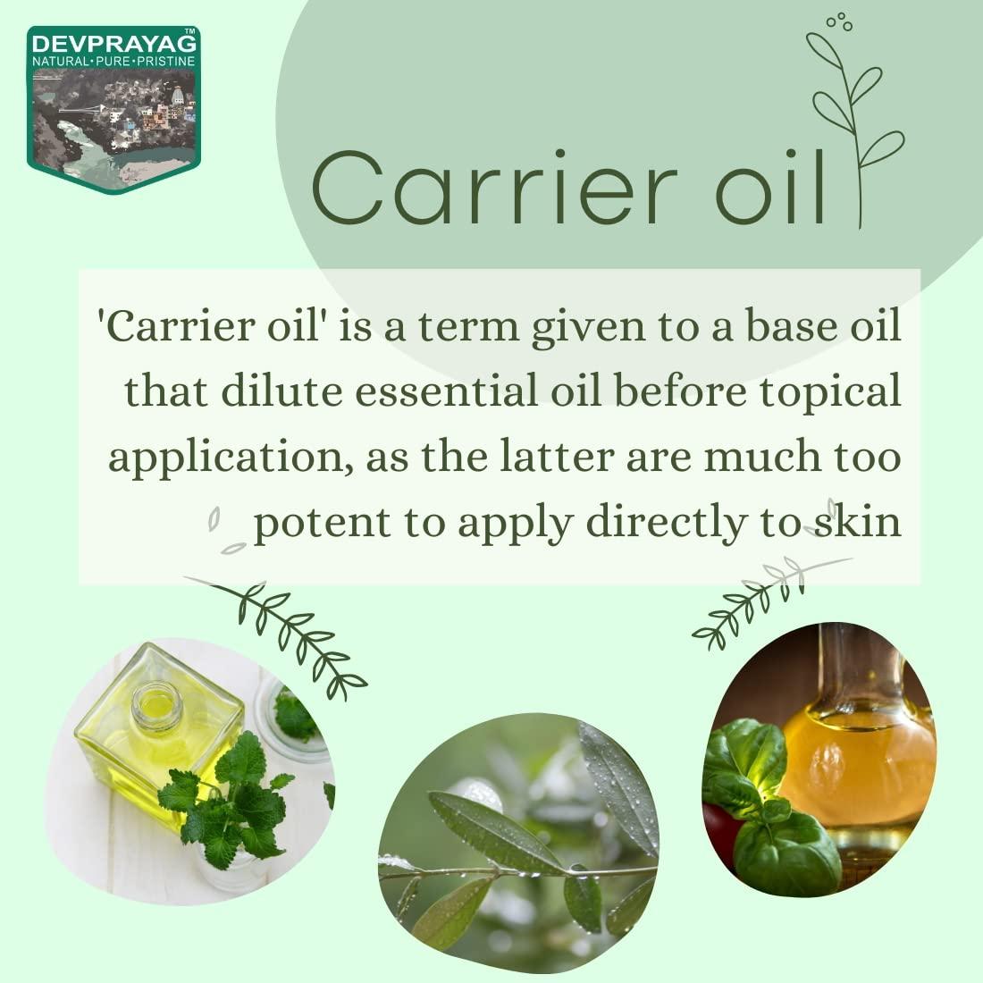 DEVPRAYAG Devprayag Pure Malkangani (Malkangni/Jyotishmati) Oil (Celastrus paniculatus) with Glass Dropper Natural Therapeutic Grade Cold Pressed 30ml Pure | Non-Sticky | Non-greasy | Lightweight | For All