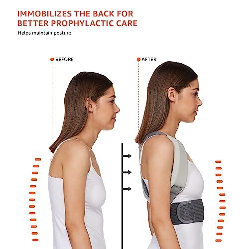 Amazon Basics Amazon Basics Posture Corrector Back Support | Large Size | Material Foam | Ergonomic Design | For Back Pain, Back Straight And Shoulder Support