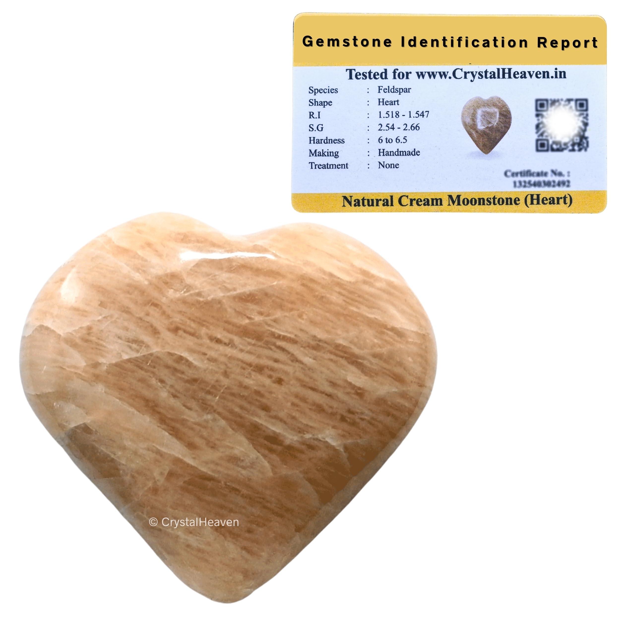 OZiva OZiva Daily Protein Activ for Women | Best Protein Powder for Women with 120g Protein, Probiotics, Shatavari for Increased Energy Levels, Bone Health and Hormonal Balance 300g (Chocolate, Pack 1)