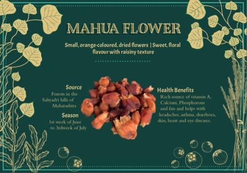 BANDHAL BANDHAL Mahua Flower Dried 900 Gm. (Madhuca Longifolia) Phool Mahua - Mahuya Flower - Madhuca Indica Mahua Fruit From Village Tree
