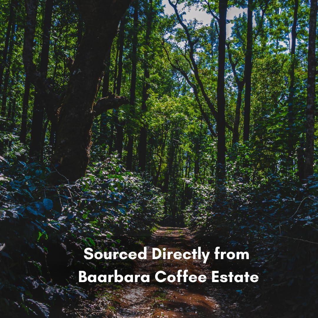 BAARBARA BERRY Baarbara Coffee |Roasted Whole Beans Vienna Roast - Dark Roast |From Chikmagalur Farms Since 1896 (250 gms)