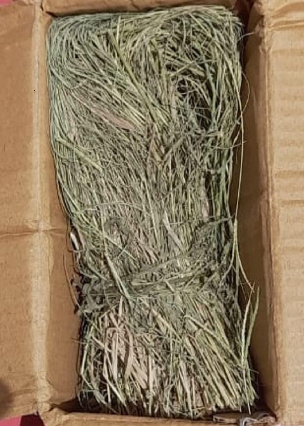 indianvedic Dried Dry Doob Ghaas Durva Grass Bahama Ghas Indian Couch Arugampul | Cynodon dactylon 250gm