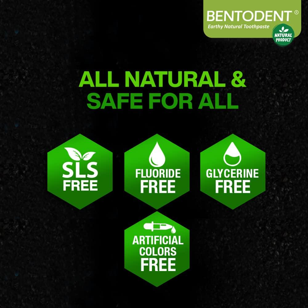 BENTODENT TOOTHPASTE Bentodent toothpaste - Teeth Whitening Products | Activated Charcoal Mint Teeth Whitening Toothpaste | Enamel Safe, Natural | Foam free, Fluoride Free - (Pack of 2 Teeth Whitening Products)