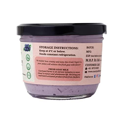 WHITALITY Whitality Greek Yogurt | Made with Free Range Goat Milk | No Preservatives | Natural processing | Good for lactose intolerant | improves gut health | Glass Jar Packaging | 210gm | Blueberry