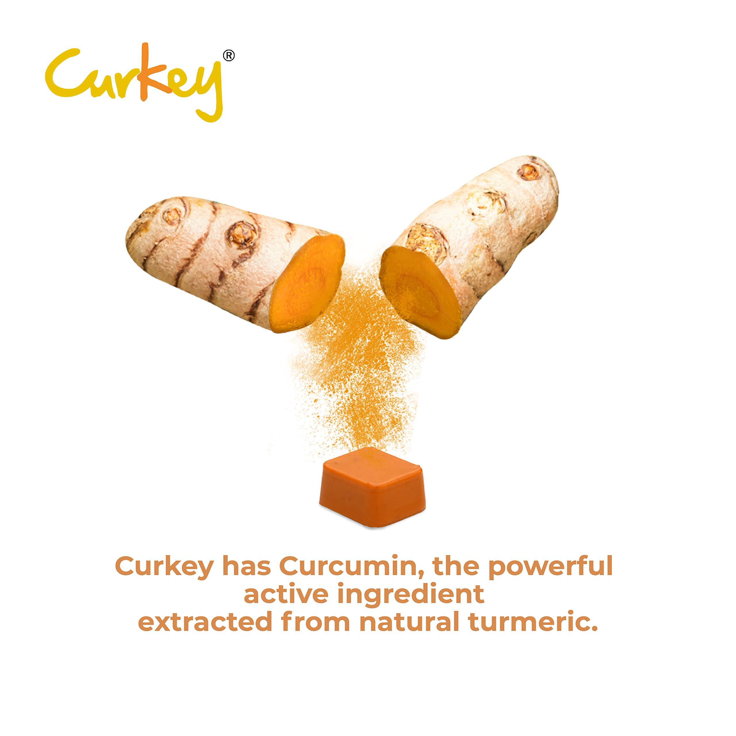 Curkey Pastilles for Quick Relief from Sore Throat from Natural Curcumin Extract from Turmeric | Sugar Free, Mint Flavour - 10 Pastilles (Pack of 1)