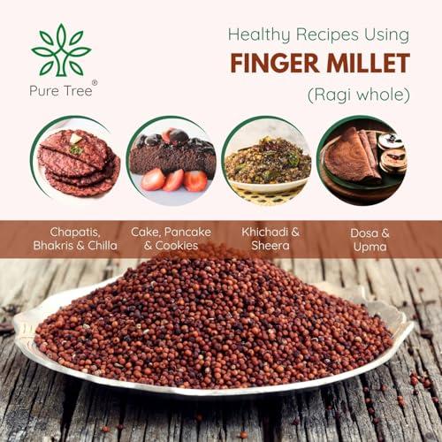 Pure Tree Pure Tree Certified Organic Ragi Whole | 900 g | Finger Millet | Nachni | Nagli | Ragi Millet Gluten-Free | Bavto | Red Finger Millet | Ragi Whole Grain