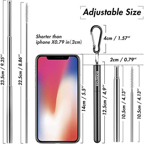 ANAB GI ANAB GI Reusable Metal Straws Collapsible Stainless Steel Drinking Straw Portable Telescopic Straw with Case and Brush