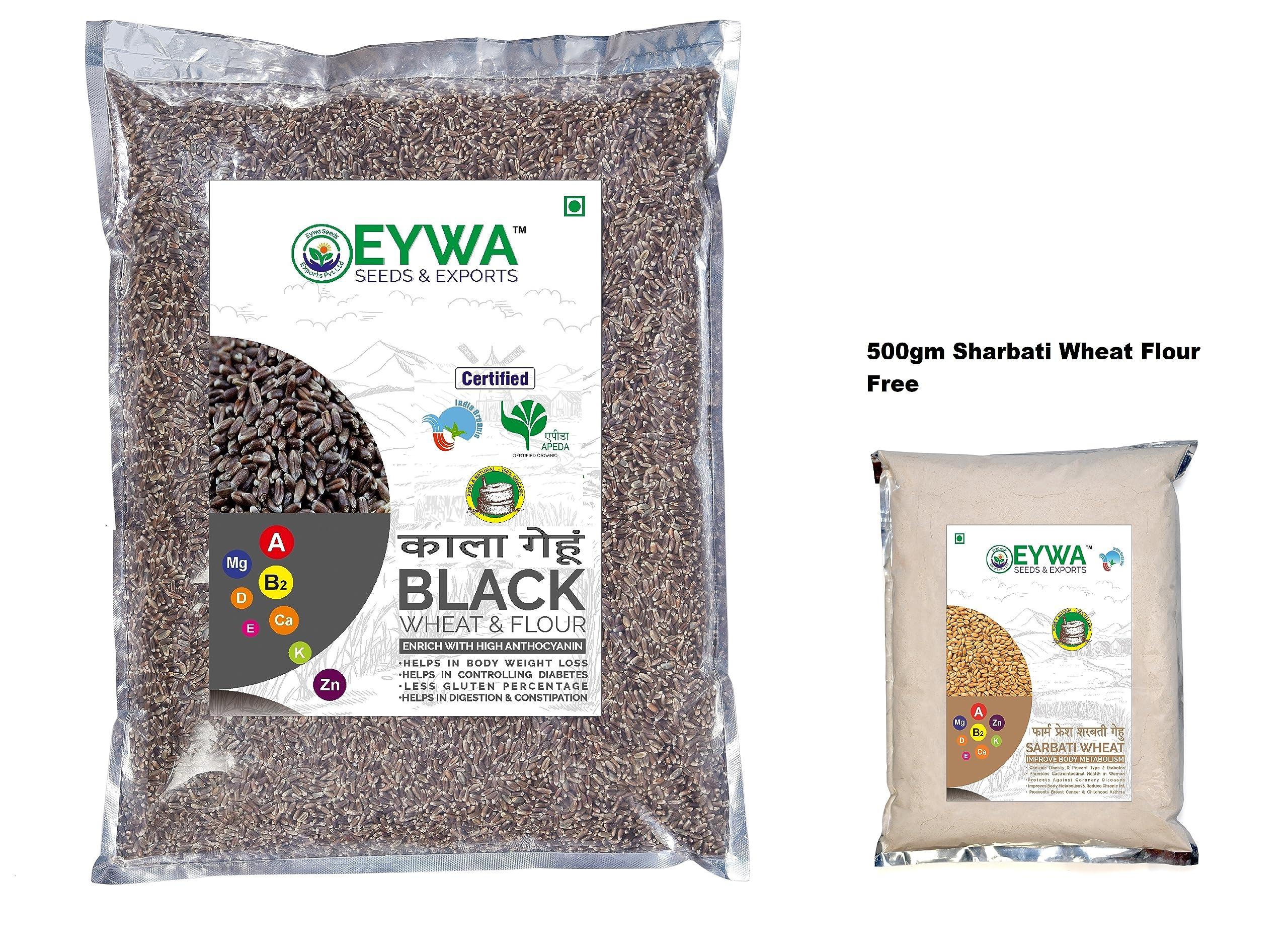 Eywa Seeds & Exports Pvt Ltd BLACK WHEAT GRAINS (15 KG) for eating and cooking | kale gehu daane | Produce of India from Organic Farms | BY EYWA
