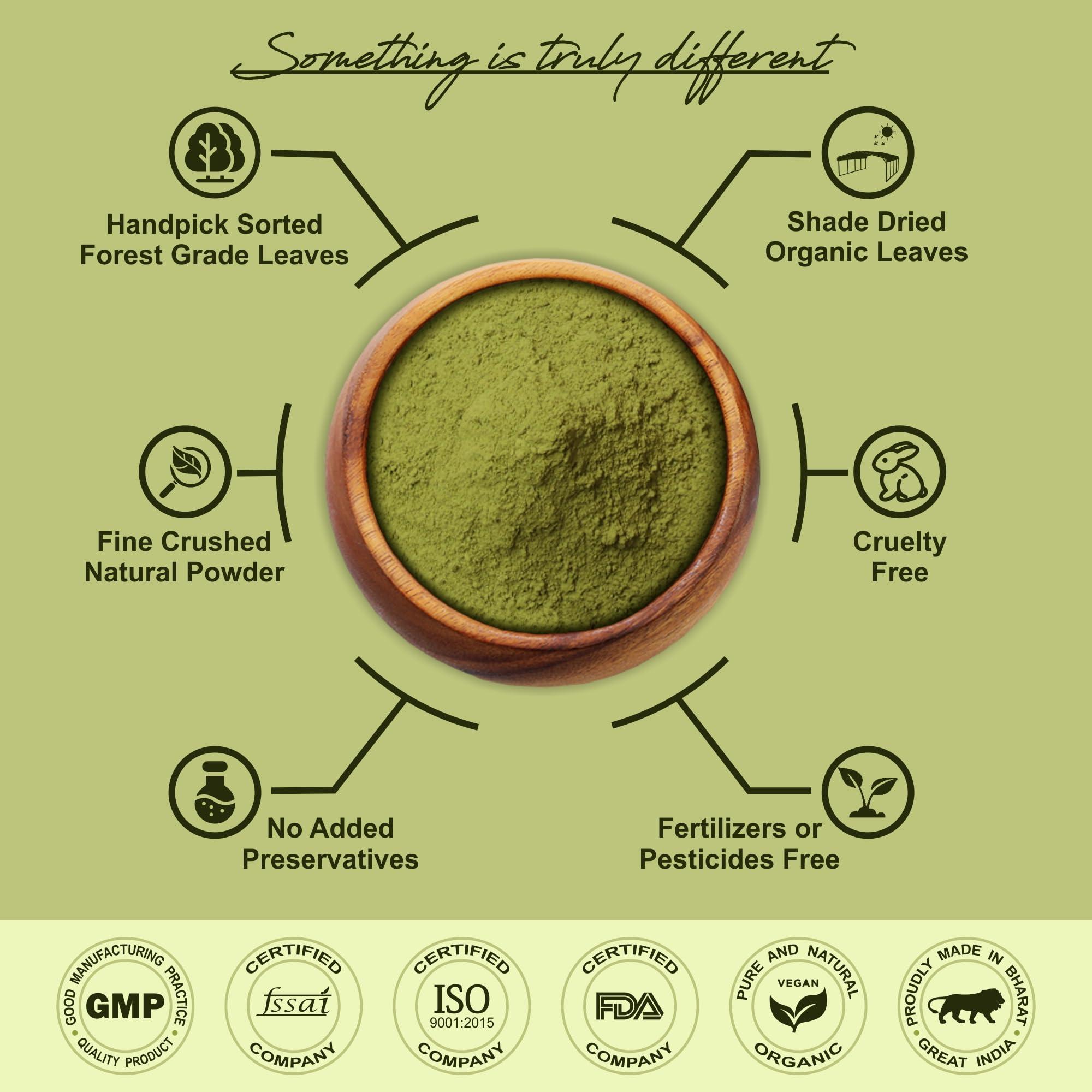 IYUSH Herbal Ayurveda IYUSH Herbal Ayurveda Senna Powder 250gm | Sanay Patti Powder | Nilavarai Powder Organic | Sonamukhi Powder | Sanay Leaves | Sanay Powder | Sanay Leaves Powder | Sana Leaf Powder |