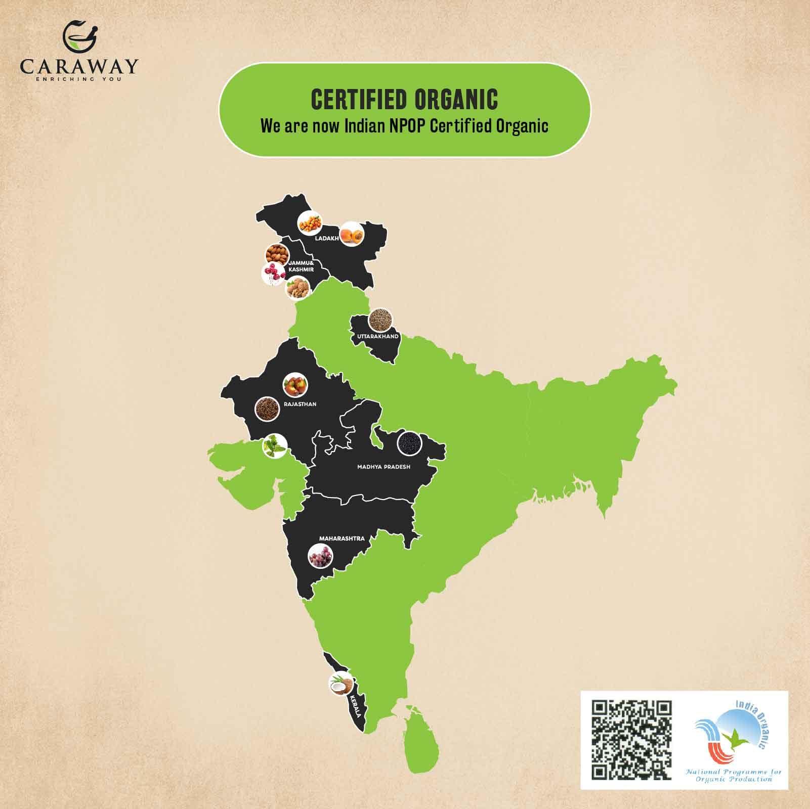 CARAWAY CARAWAY Certified Organic Almond Oil for Face - Cold Pressed Badam Rogan Oil for Baby Massage and Hair Care - Edible Grade - 50 ml