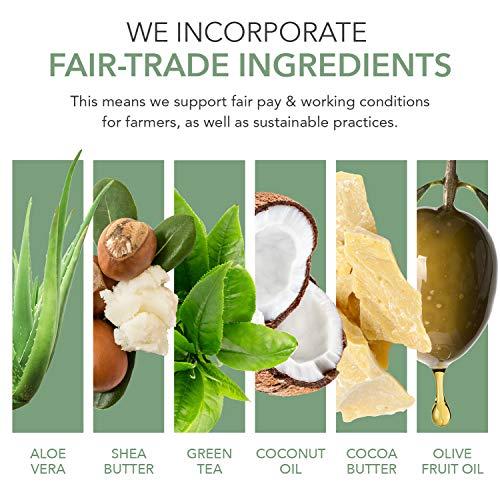 EmerginC emerginC Scientific Organics - Facial Cleansing Wipes, 30 Biodegradable Face Wipes with Aloe Vera and Witch Hazel Extract, (30) by EmerginC