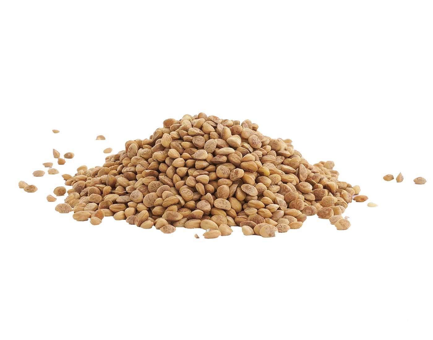 Gropure Organic: From Soil to Soul Gropure Organic: From Soil to Soul Gropure Organic Chironji Seeds (Almondette/Charoli Seeds), 100g