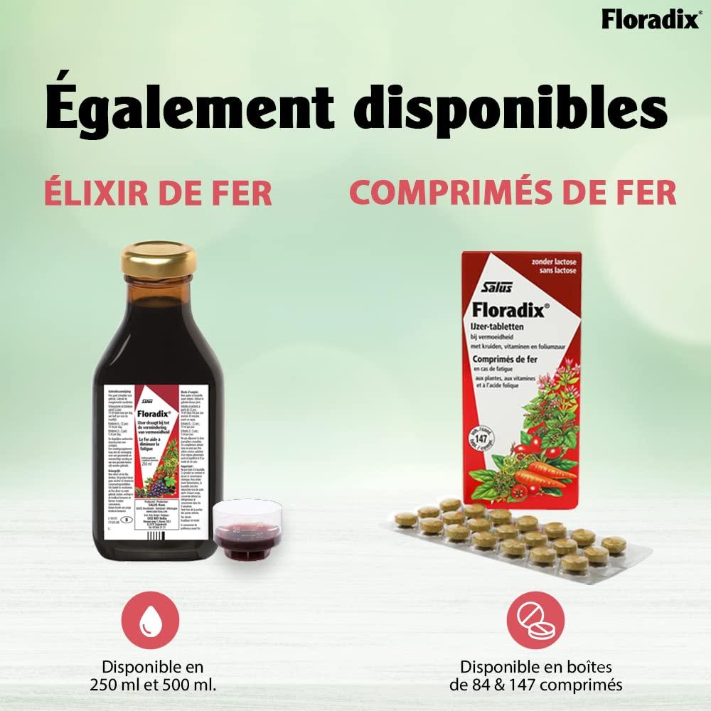 Floradix Floradix Iron 84 Tabs