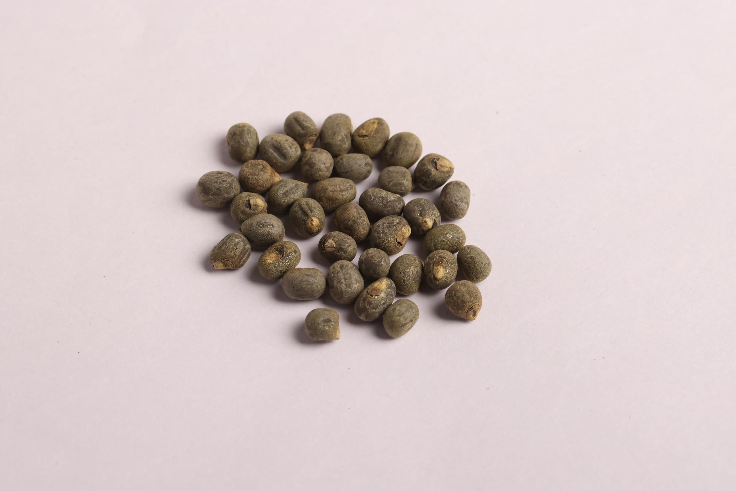OGOC OGOC Kasturi Venda Seeds | Abelmoschus moschatus | 25 Seeds